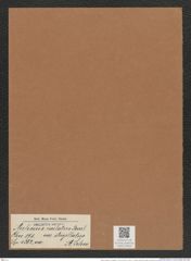 Auliscus caelatus var. strigillatus A. Schm. (de-Toni-Nr.: Genus 171, Species 4362) Zeichnungen Sammlung Grunow Mappe 04320 (Herbarium_W_Grunow_drawings_Folder_04320)